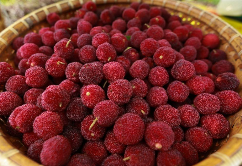 泡酒楊梅做法大全_楊梅泡酒的做法_泡酒楊梅做法視頻