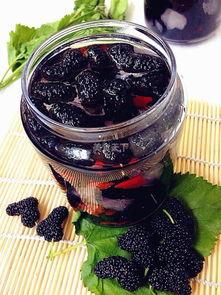 發酵桑葚酒的做法_發酵做法桑葚酒自然發酵多久_桑葚酒自然發酵做法