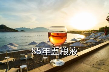 五糧液年份怎么看_五糧液年產(chǎn)多少噸_85年五糧液
