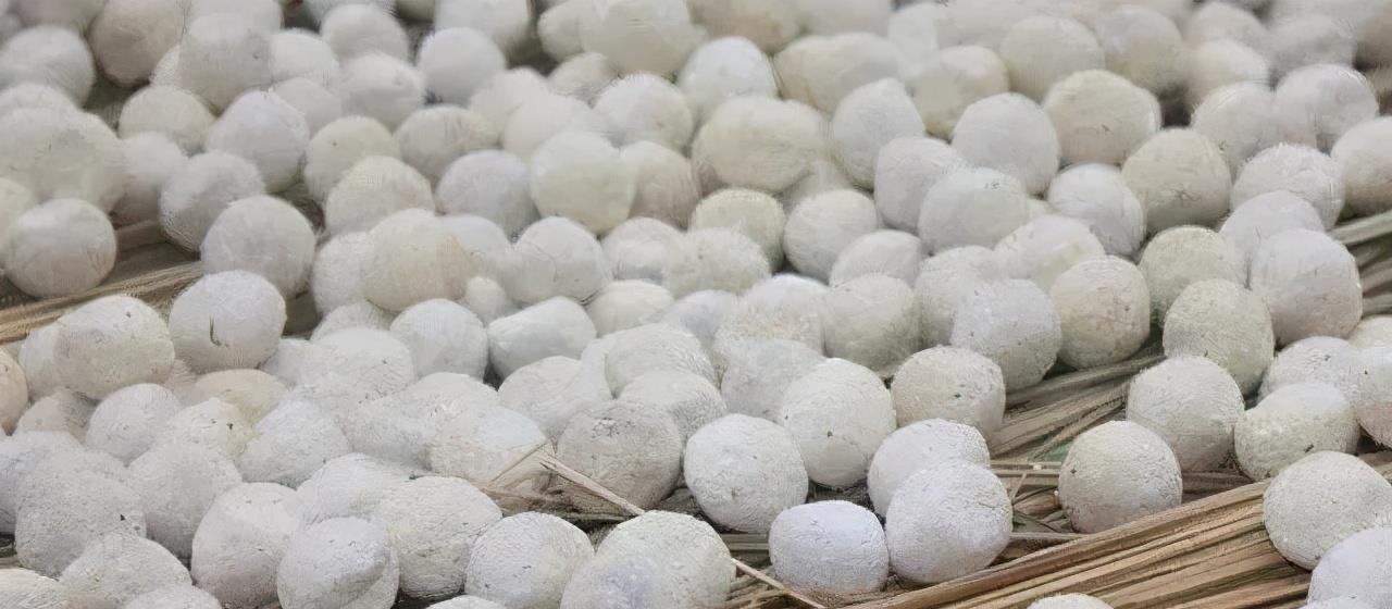 酒曲是什么東西_酒曲是什么東西做出來的_酒曲是什么味道