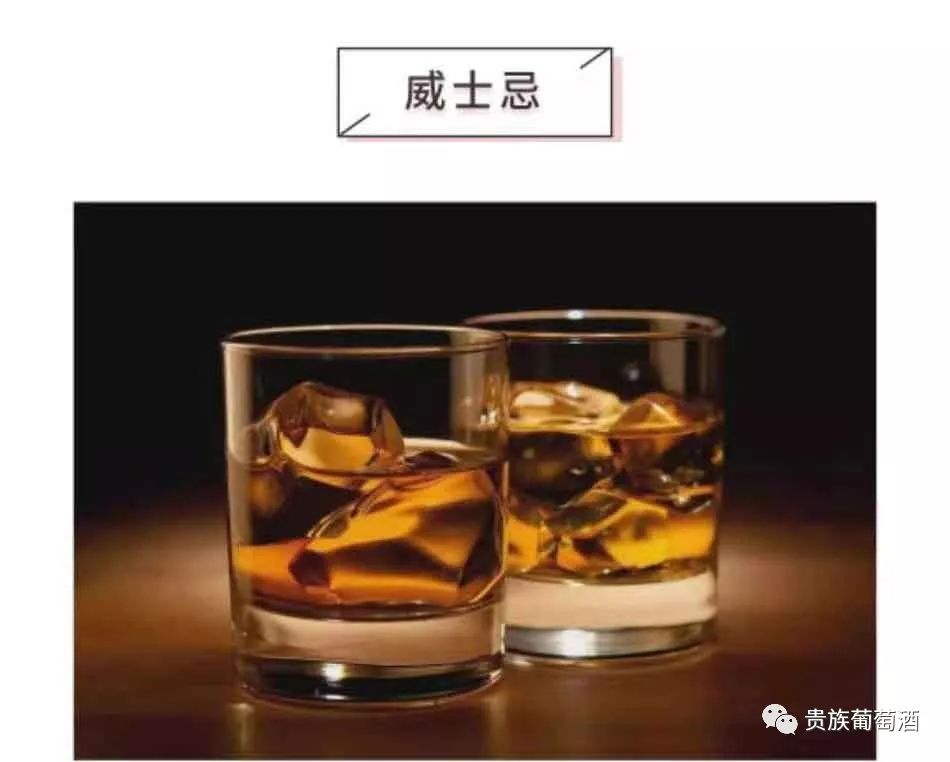 威士忌與白蘭地的喝法_白蘭地酒與威士忌酒的區別_威士忌酒與白蘭地酒的區別