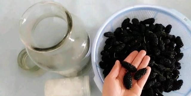 桑葚酒的正宗制作方法_正宗桑葚制作酒方法圖解_正宗桑葚制作酒方法視頻