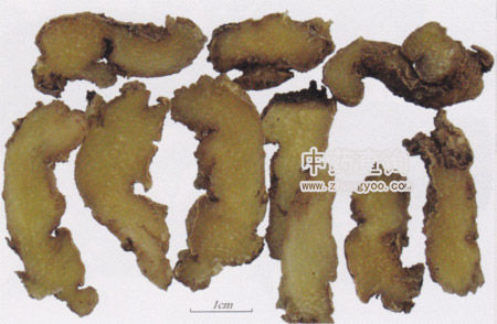 酒黃精的功效_酒黃精的功效_酒黃精的功效