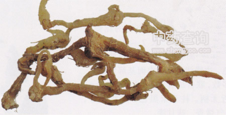 酒黃精的功效_酒黃精的功效_酒黃精的功效