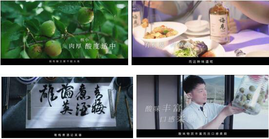 梅見酒度數高嗎_梅見酒精度數_梅見酒多少度