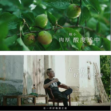 梅見酒精度數_梅見酒多少度_梅見酒度數高嗎