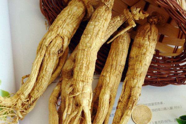 藏紅花加人參泡酒，藏紅花人參泡酒的功效