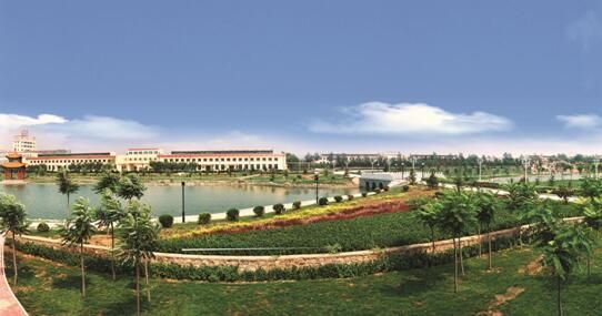 汾酒1510系列之十一：酒都杏花村大面積森林所蘊含的玄機