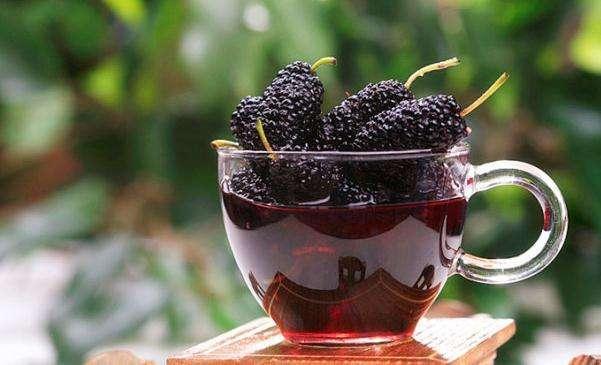 藍莓酒的做法 自釀_做法酒自釀藍莓好吃嗎_自釀藍莓酒的功效與作用