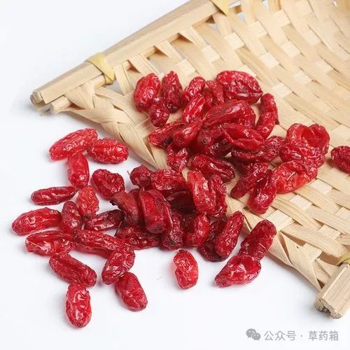 酒續斷功效與作用功_酒續斷與續斷區別_酒續斷的功效與作用