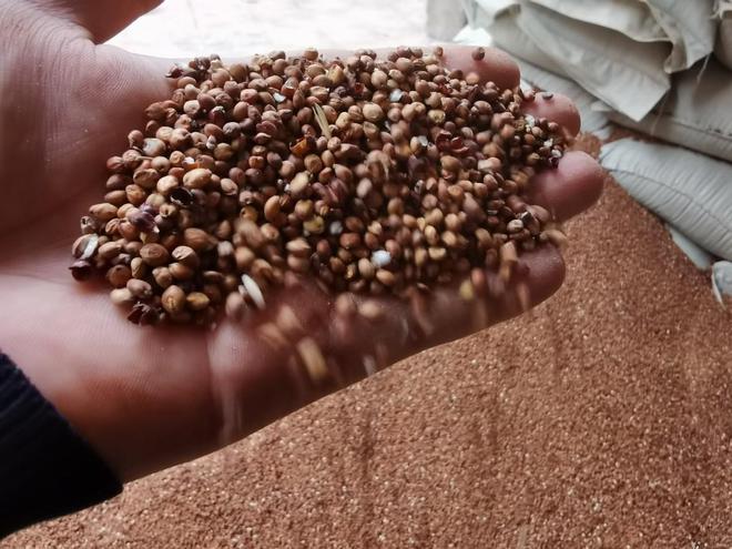 有哪些是糧食酒_十大公認的糧食酒_公認的糧食酒