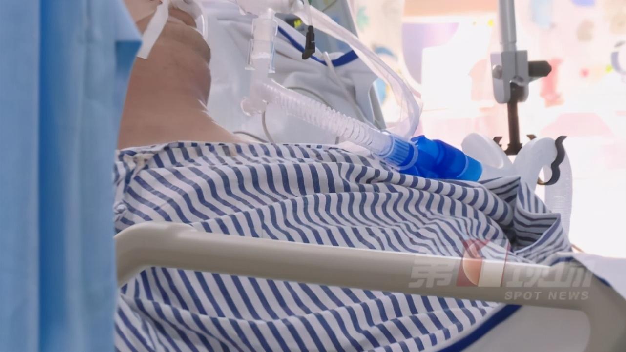 土大黃泡酒治什么病_酒泡大黃的作用_泡酒病治大黃土有效嗎