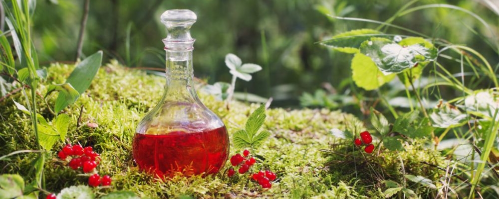 泡蛇酒蛇要怎么處理_蛇泡酒有什么用_泡制蛇酒要什么藥材